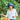 Wallaroo Casual Traveler Hat Style - CASTCV